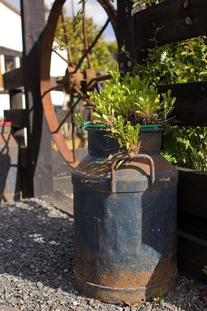 Cambridge Coach House Hotel Eksteriør billede